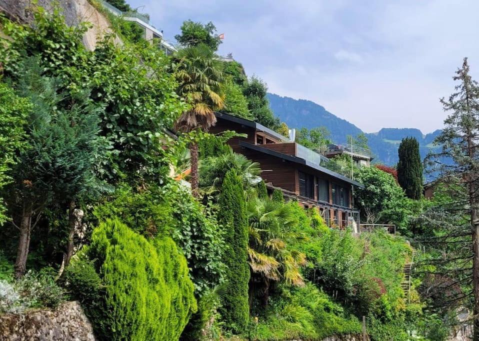 Villa Bootsmann Mit Spektakulaerer Seesicht Nahe Badestrand Vitznau Exterior photo